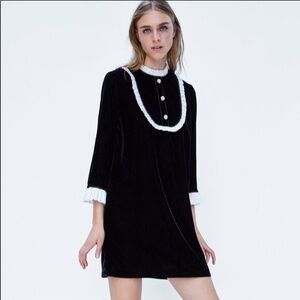 Zara black velvet mini dress white ruffle collar cuff long sleeve doen